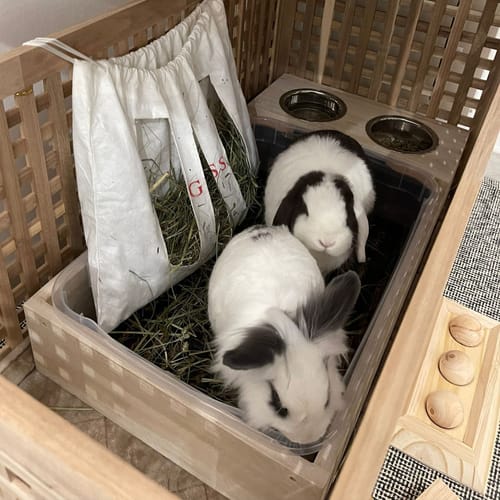 Customer photo review of Grande Lettiera in legno per conigli, con portaciotole e scivolo estraibile.