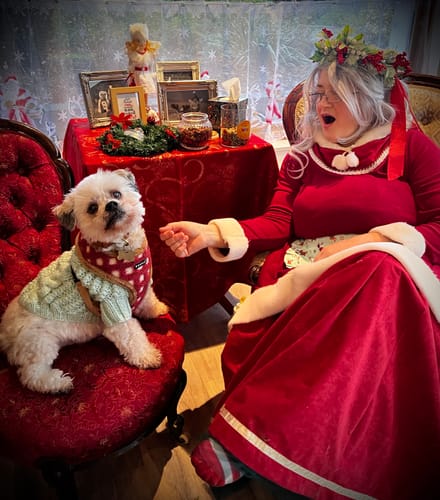 Customer photo review of Pawsome Pullover - Mint