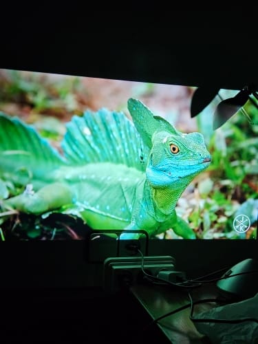 Customer photo review of NEXTPROJECTA PRO™ - Smart HD Projektor