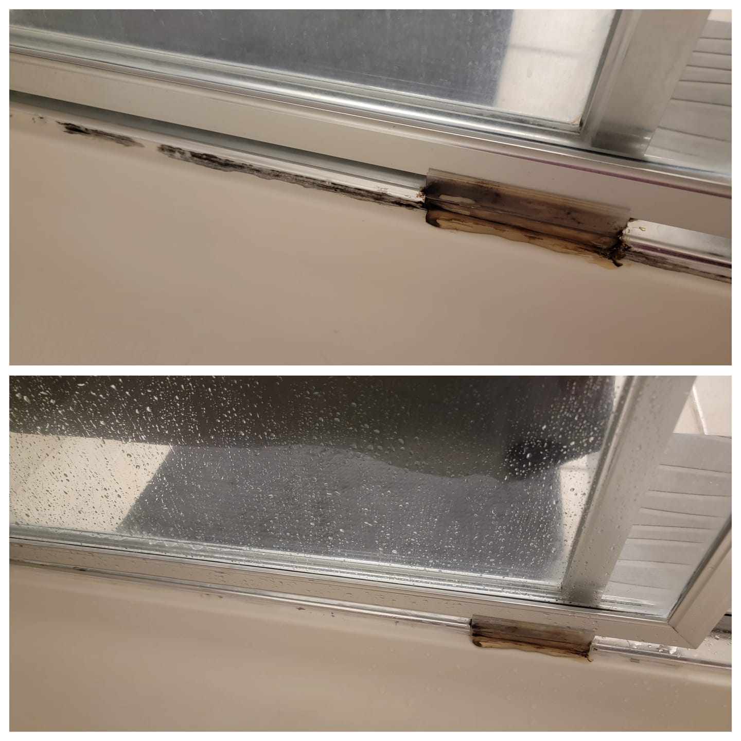 Customer photo review of GLASSGUARD™ Miracle Mold Removal Gel