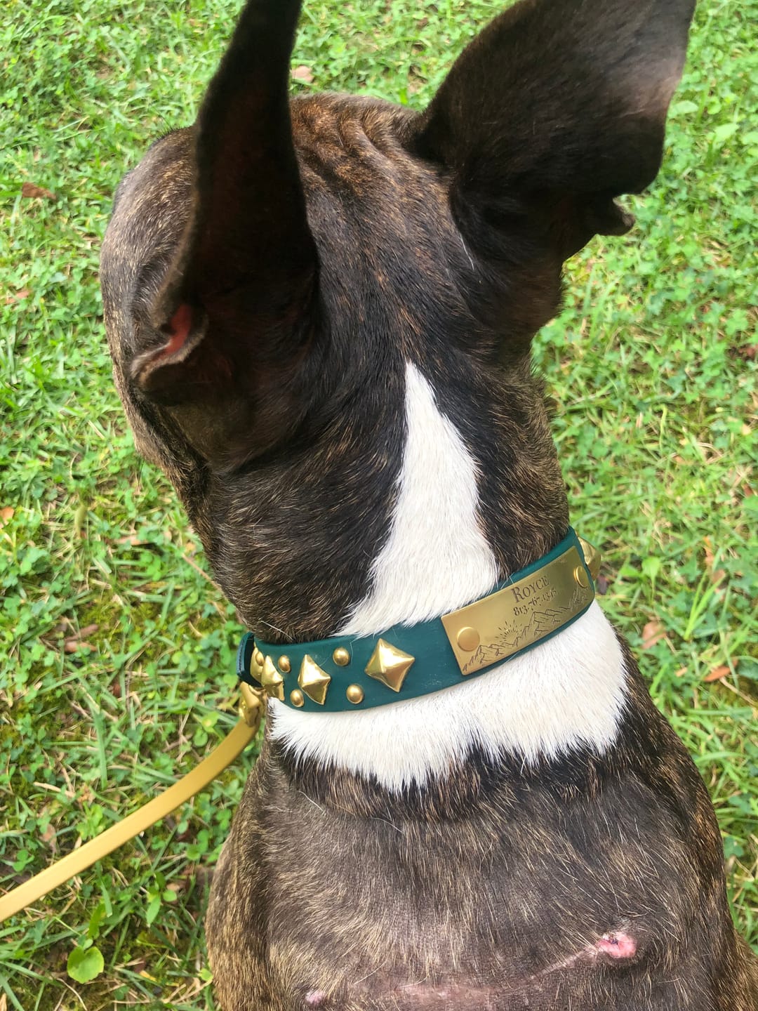 Customer photo review of Designer Rivet-On Tag