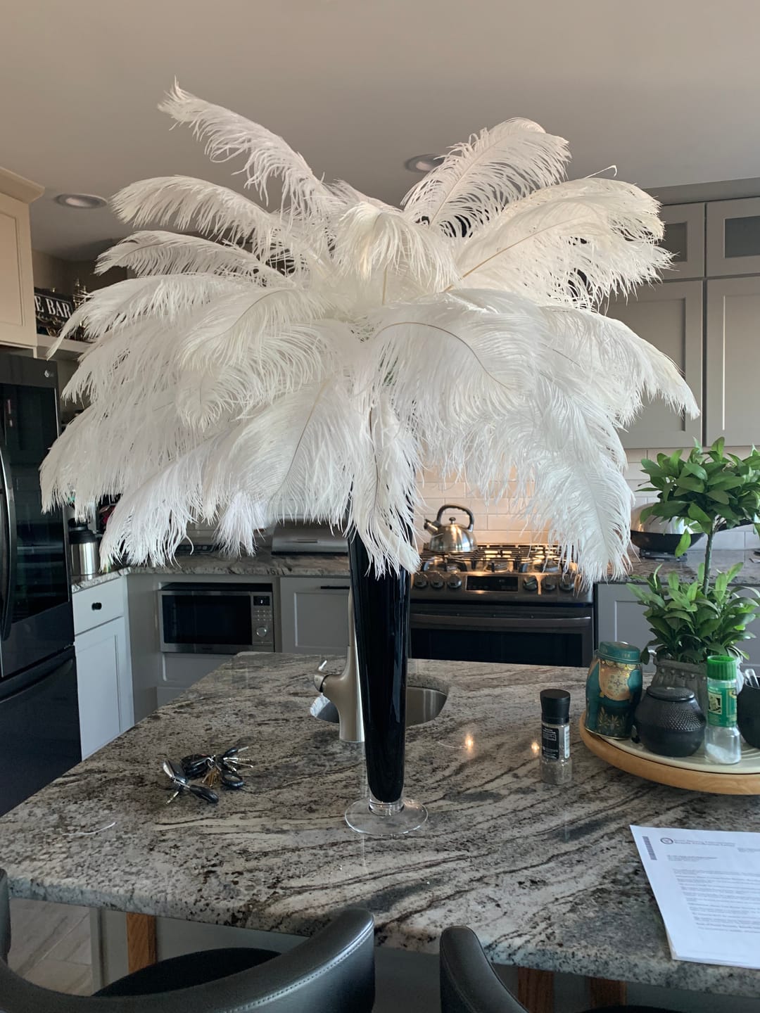 Customer photo review of Ostrich Feather Tail Plumes 17-20" (Black)