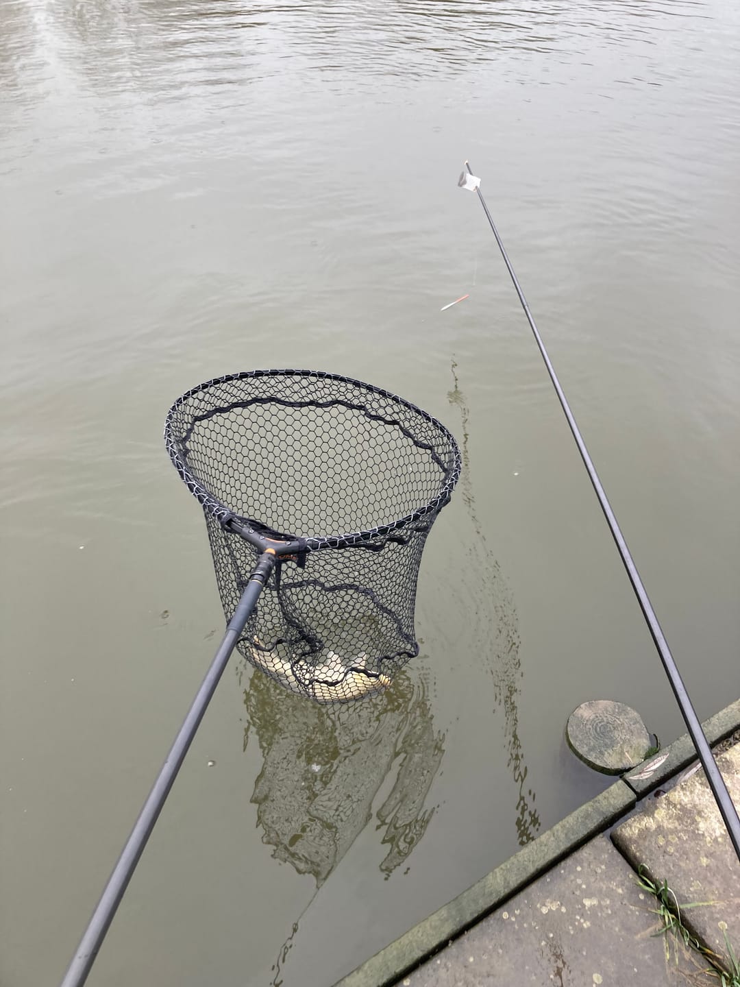 Customer photo review of SLIK CATAPULT
