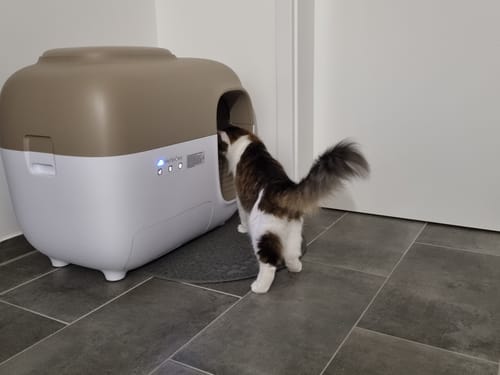 Customer photo review of Self-Cleaning Litter Box