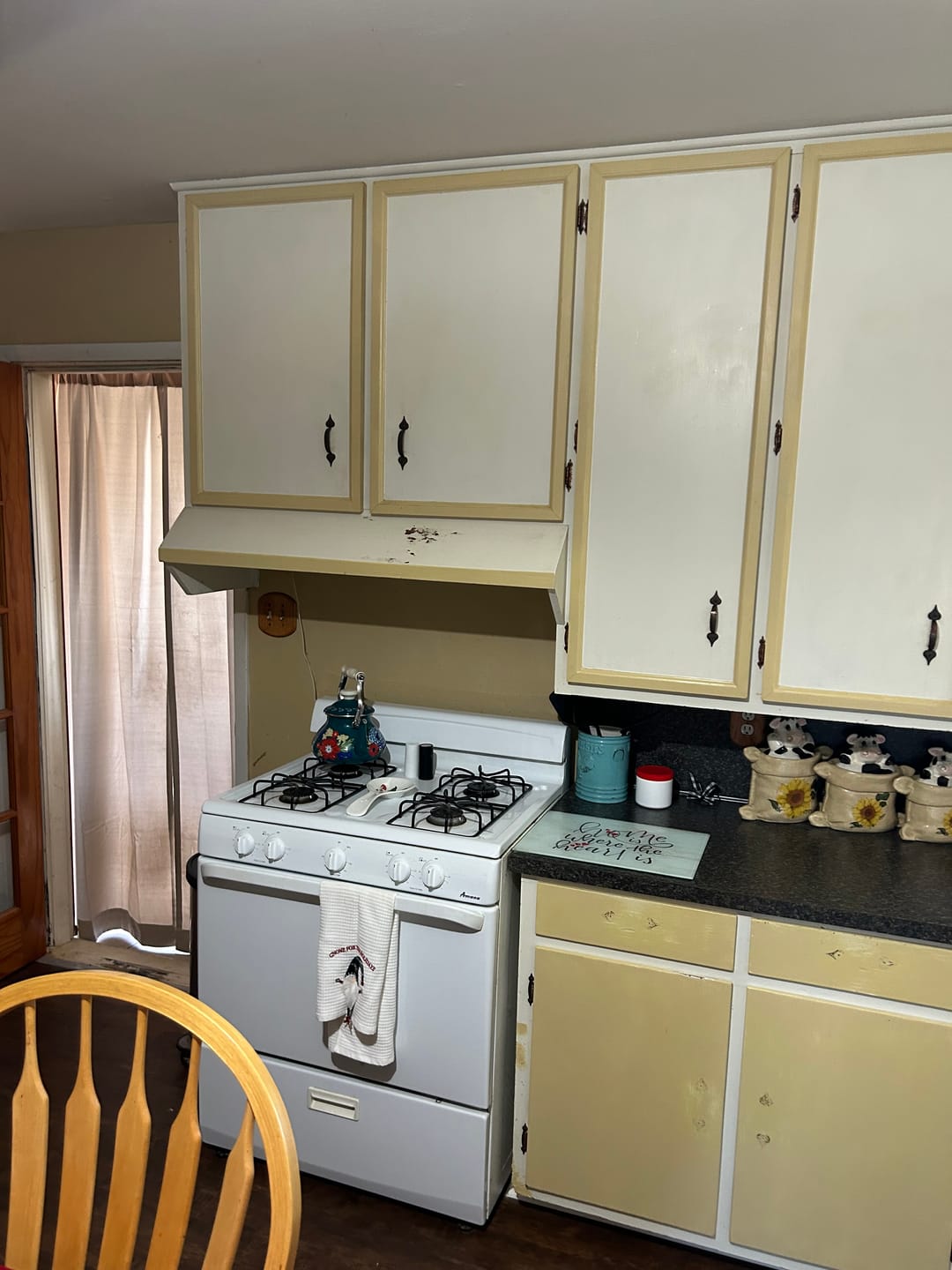 Customer photo review of English Boxwood