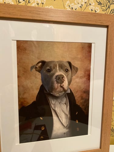 Customer photo review of The Baron - Custom Vintage Pet Portrait