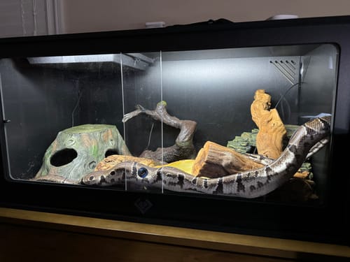 Customer photo review of XT3 36Lx18Dx18H - STACKABLE