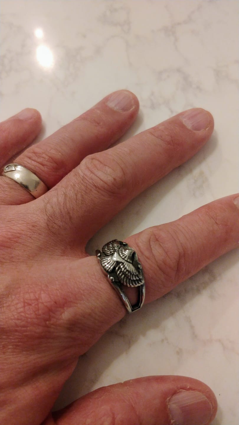 Customer photo review of Free As Bird.