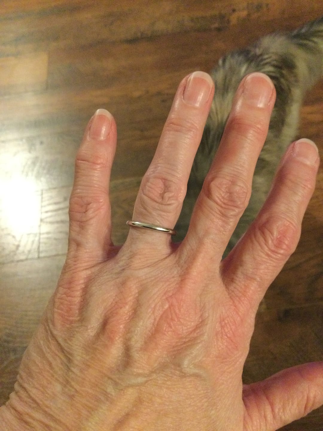 Customer photo review of High Polished Classic Comfort Fit Wedding Band
