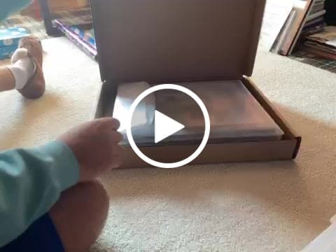 Customer video review of Custom House Portrait