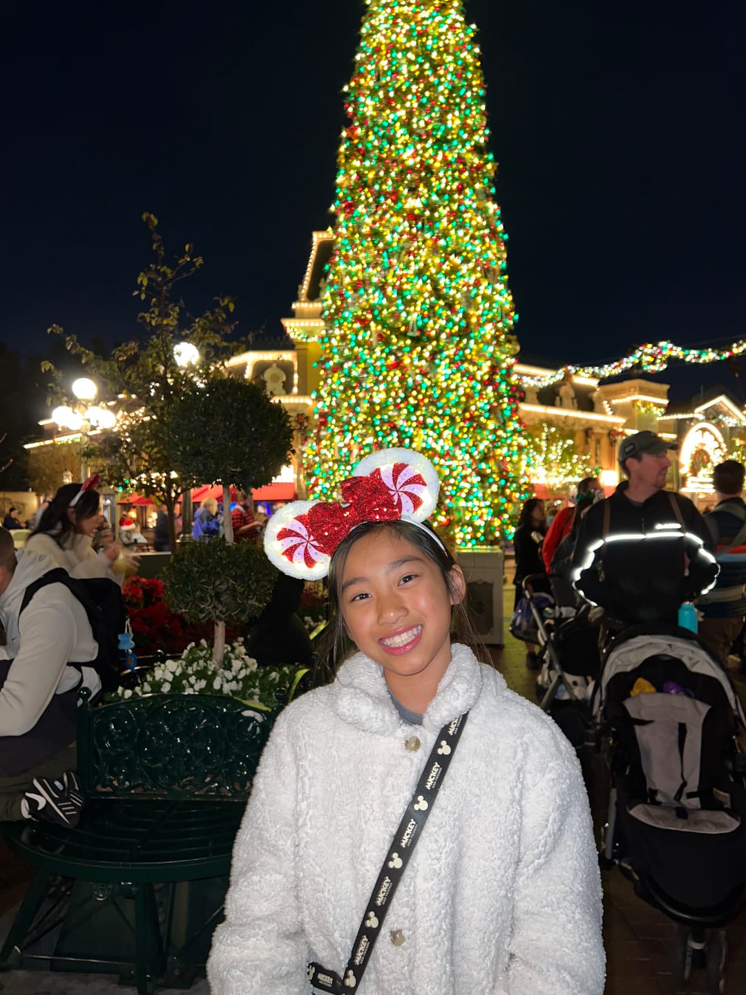 Customer photo review of Light Up Candy Cane Christmas Mickey Ears