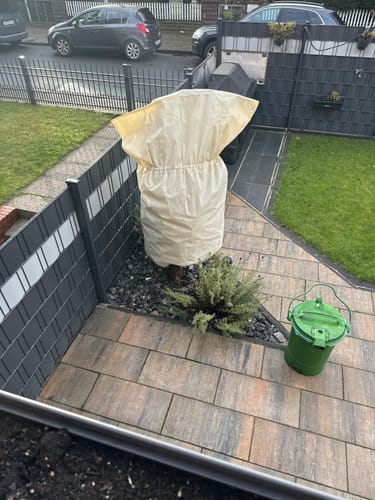 Customer photo review of Winterschutz für Kübelpflanzen XXL H 180 x B 120 cm Ø 76 cm