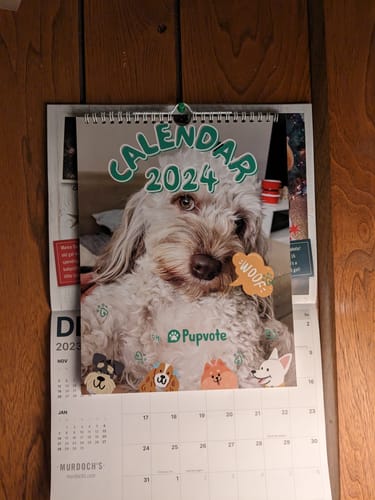 Customer photo review of PUPVOTE: 2024 Cutest Pet Calendar (Official Edition)