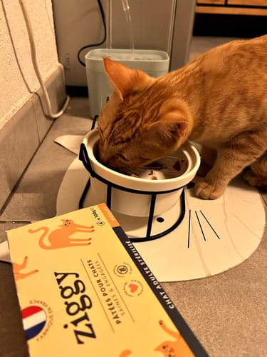 Avis photo d'un client sur Pâtée Chat Stérilisé Sans Céréales - Poulet
