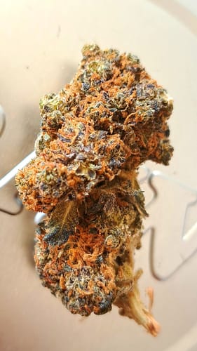 Customer photo review of Cali Jokerz x 32% HHC Power Blend
