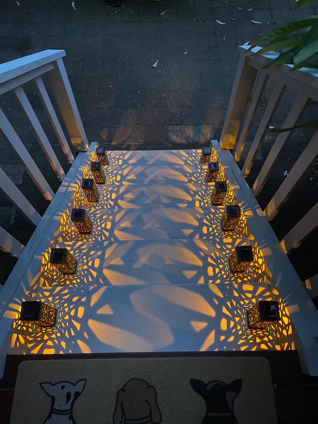 Customer photo review of SolaGarden™ Pattern Light Pack