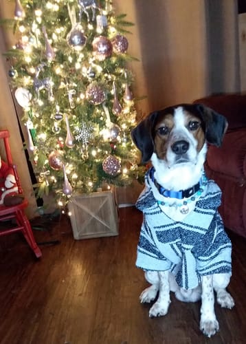 Customer photo review of Playa Poncho - Surprise Color