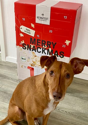 Kundenbewertung mit Foto zu ⏰ VORVERKAUF: Snack-Adventskalender 2024