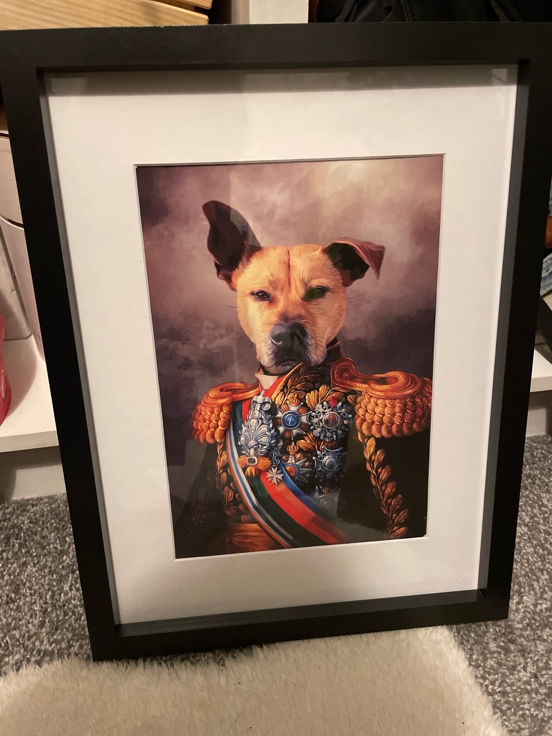 Customer photo review of The First Lieutenant: Custom Pet Portrait