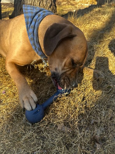 Customer photo review of Freez Double