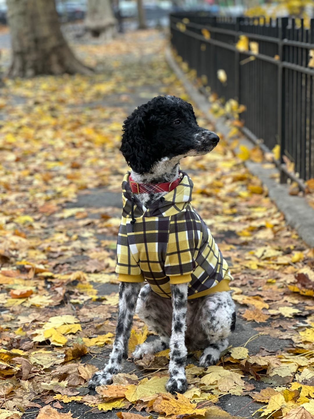Customer photo review of Yellow Plaid Human Hoodie