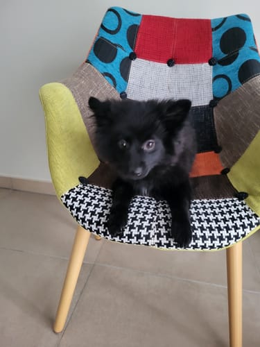 Customer photo review of Huile de Pépins de Figue de Barbarie - 30 ml