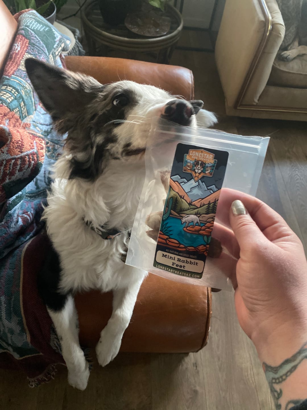 Customer photo review of Mini Rabbit Feet