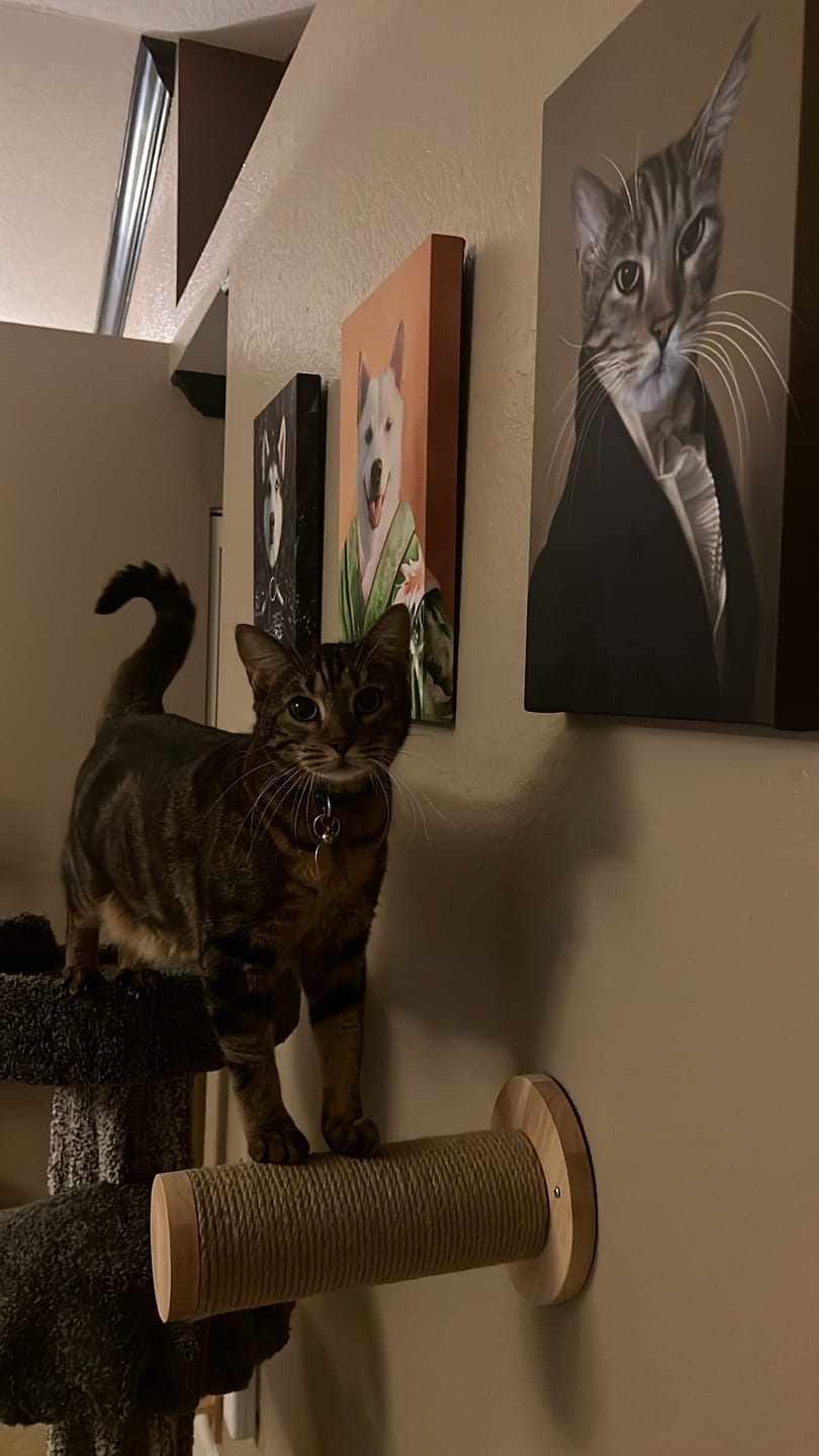 Customer photo review of Le Député