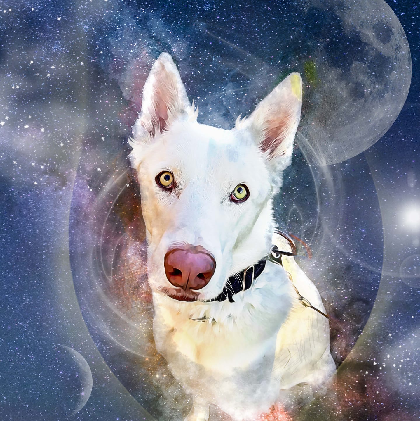 Customer photo review of Watercolor Pet Art - Pet Galaxy (PG)