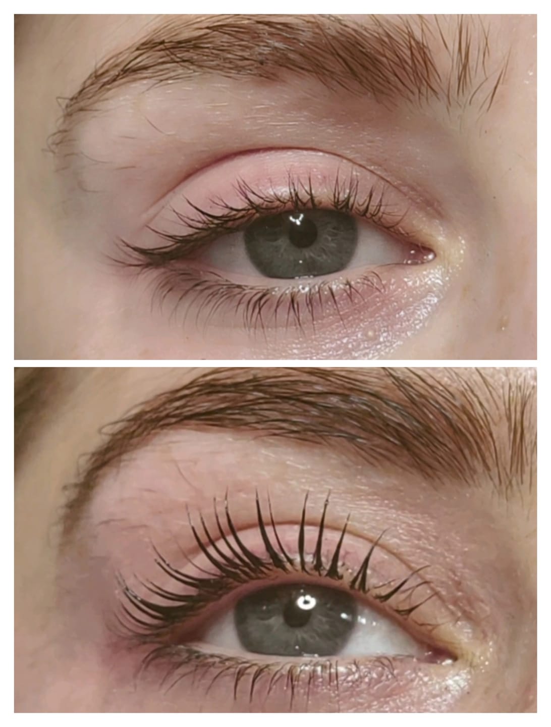 Customer photo review of Lashlift Refill Pack