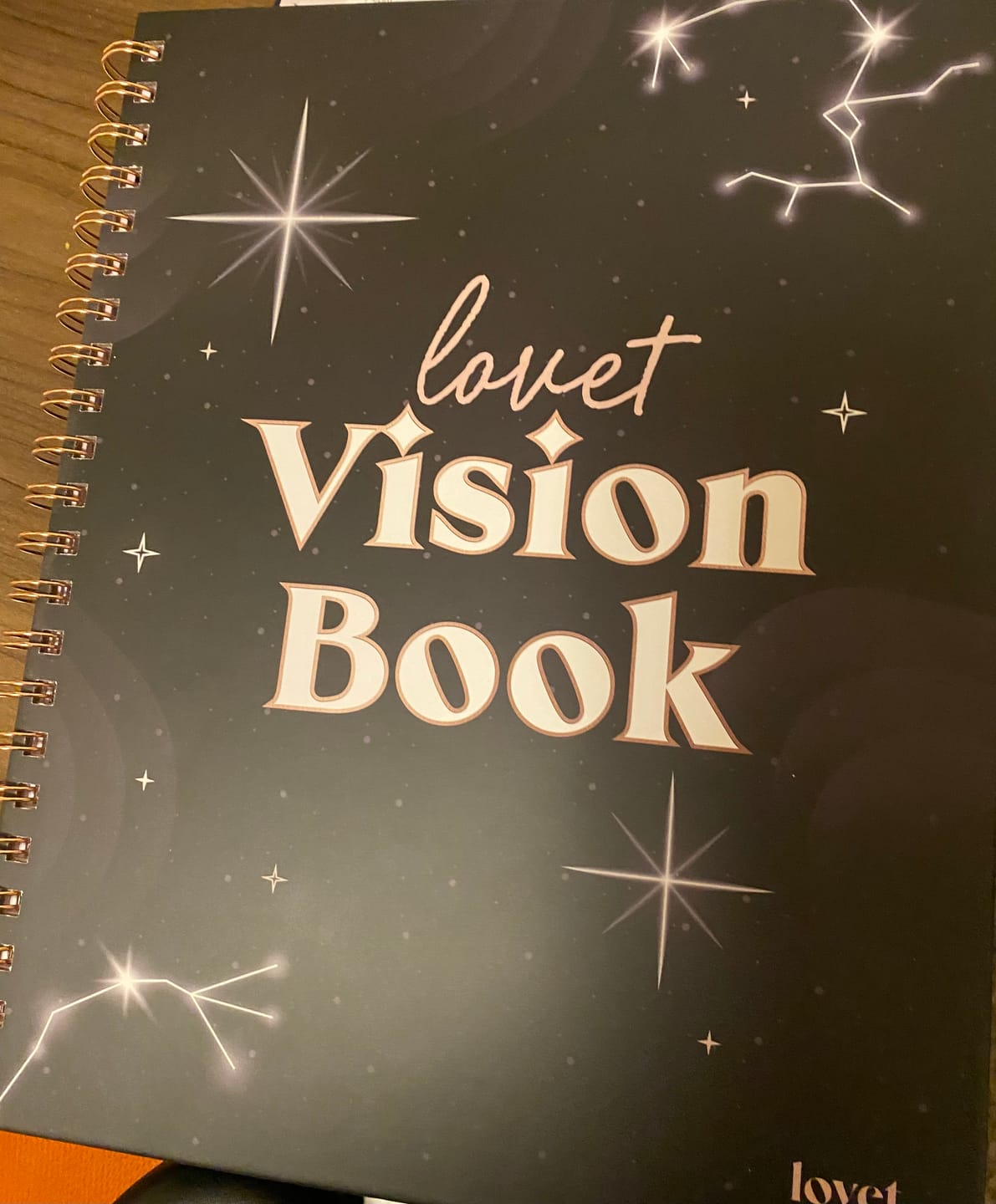 Customer photo review of Vision Board Book LUXE [BLACK]