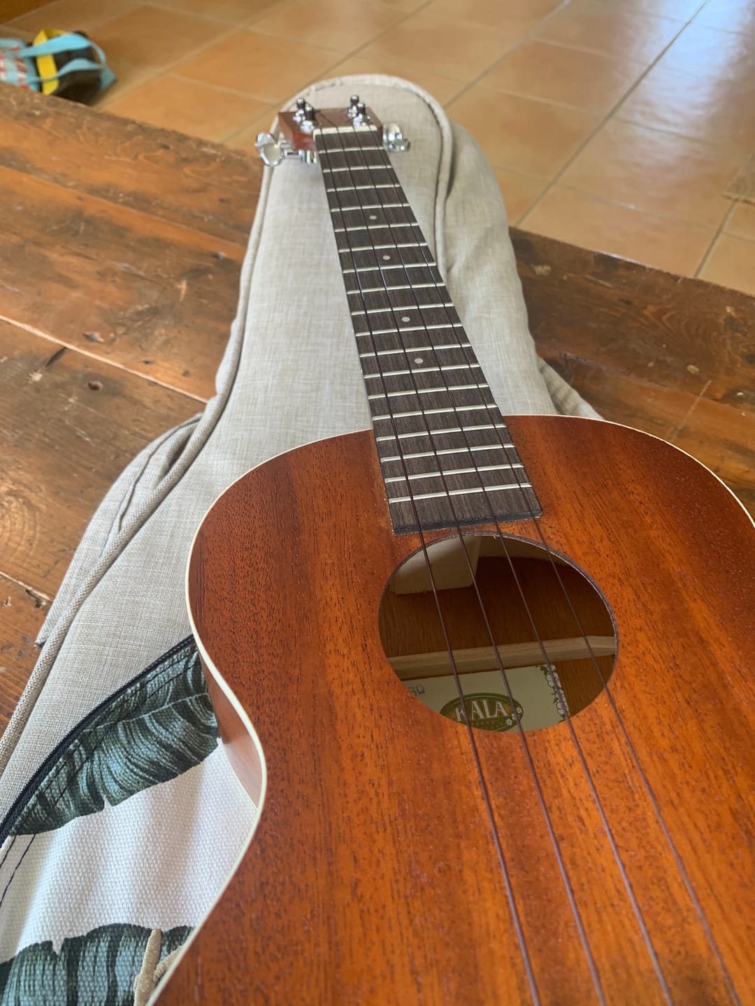 Customer photo review of BF-LG Worth Brown Fat Low-G Tenor Ukulele Strings Flurorcarbon 2 Restrings per Packet