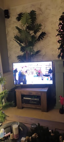 Customer photo review of Philodendron Kunstplant 160cm