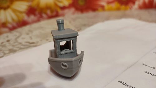 Customer photo review of Anycubic Kobra 2