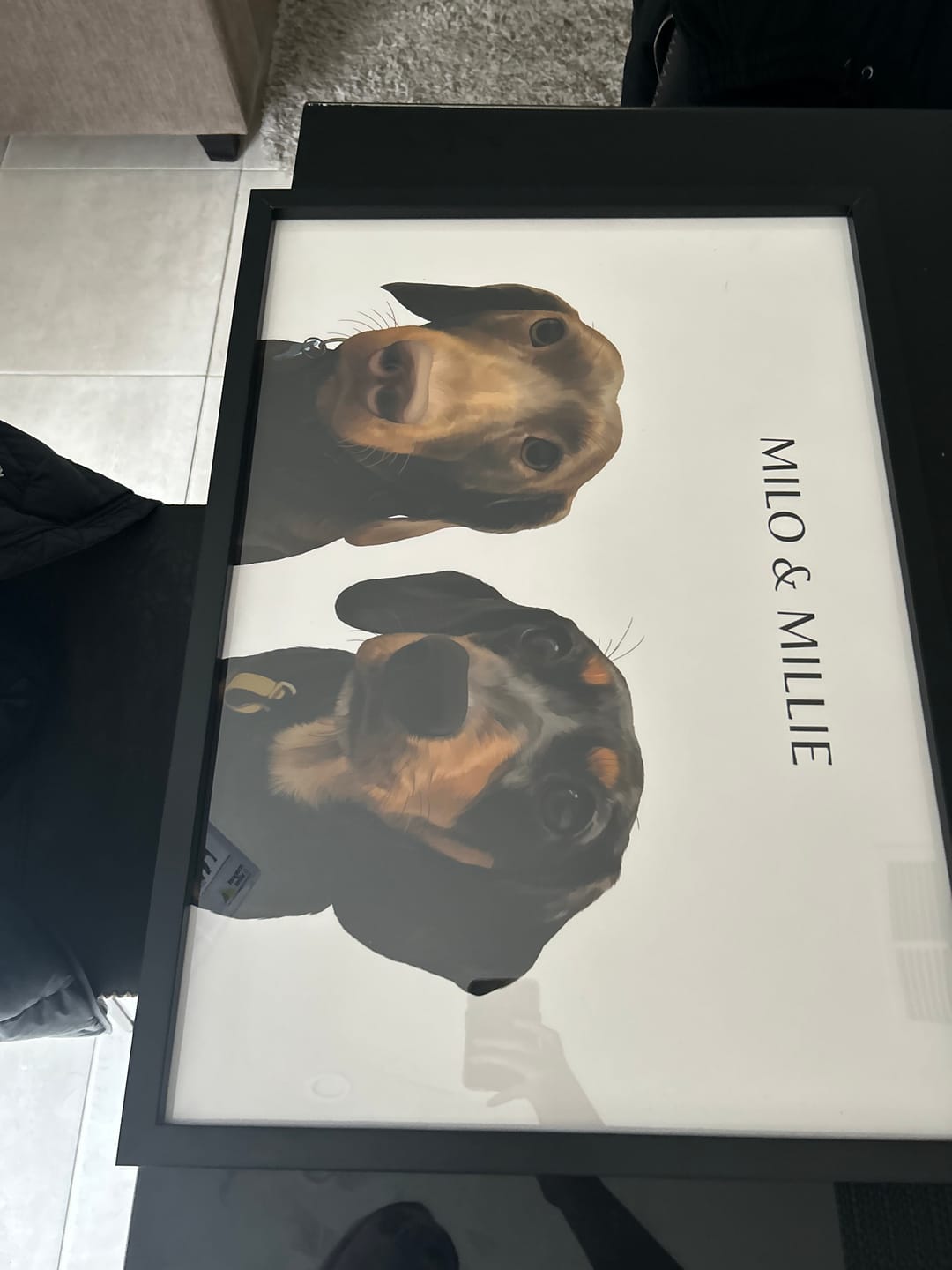 Customer photo review of Two-Pet Portrait