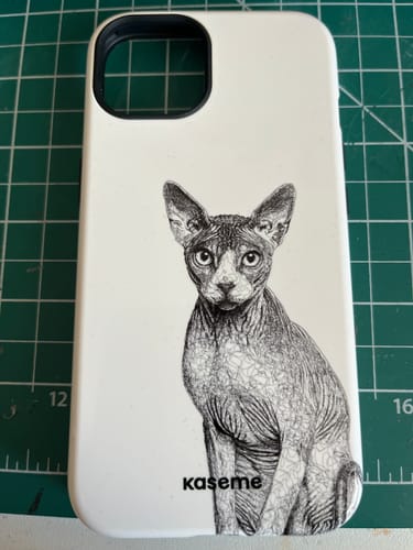 Customer photo review of Sphynx