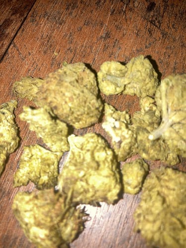 Customer photo review of Haze Island 🏝️ THCP 5%