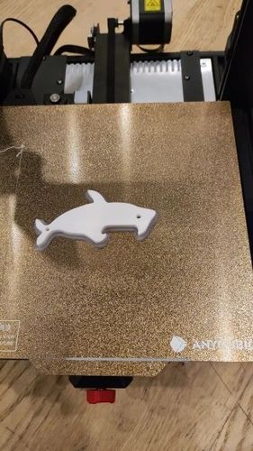 Customer photo review of Anycubic Kobra 2
