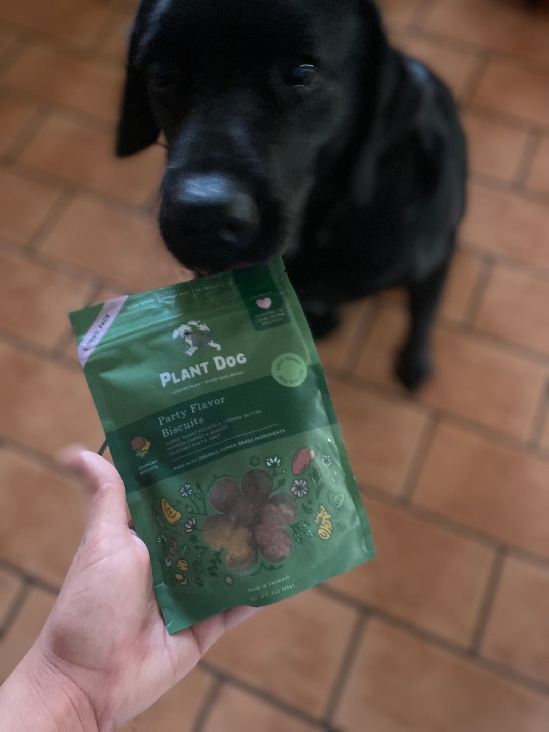 Customer photo review of Party Flavor