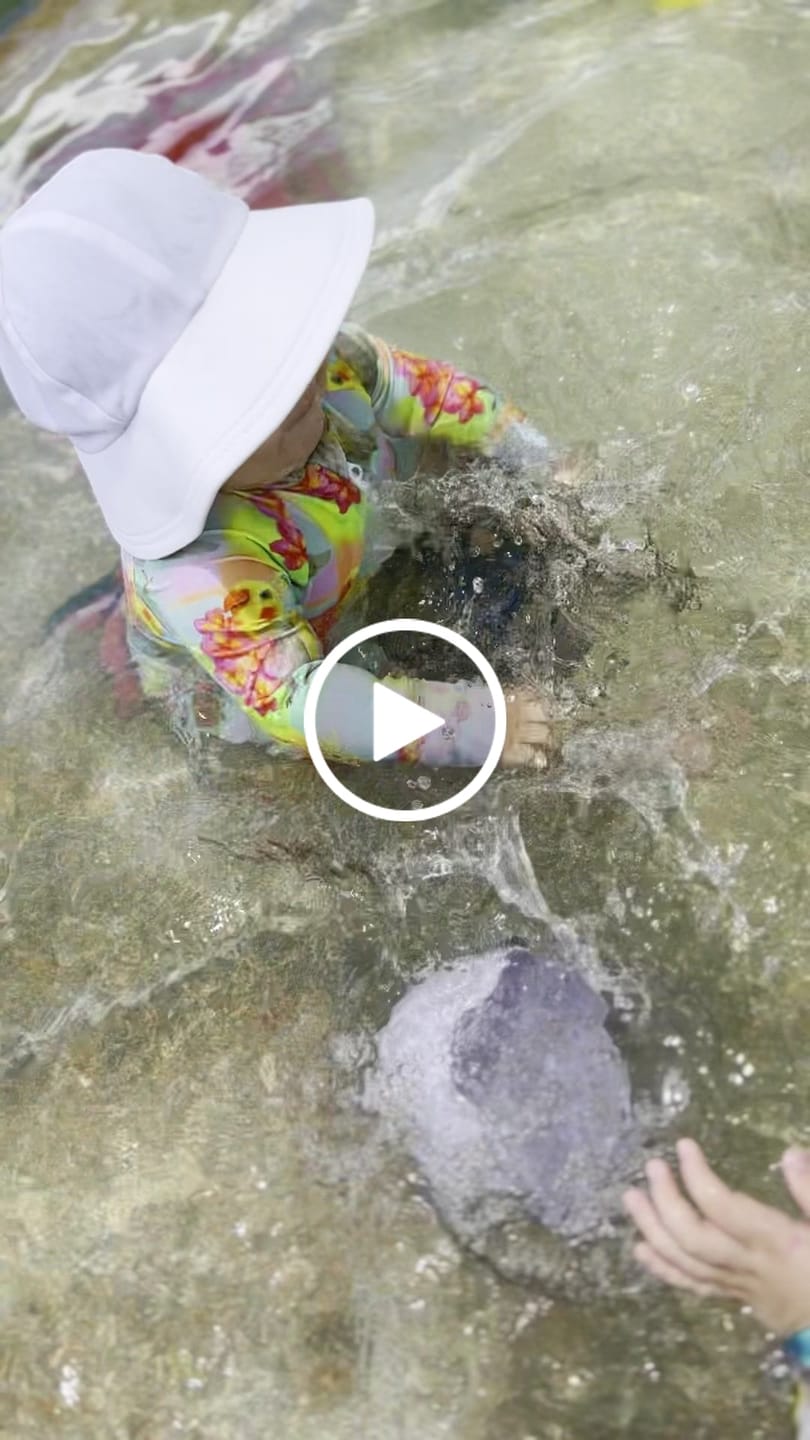 Customer video review of Cockatiel Unisex Long Sleeve Zip Swimmers