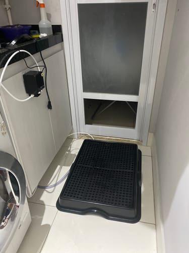 Customer photo review of Weasy Cão