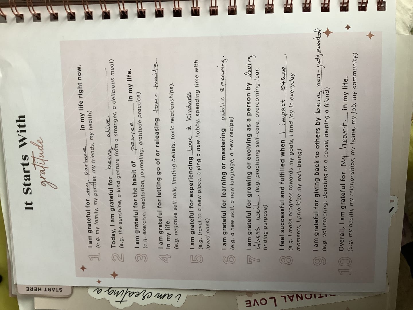 Customer photo review of Vision Board Book LUXE