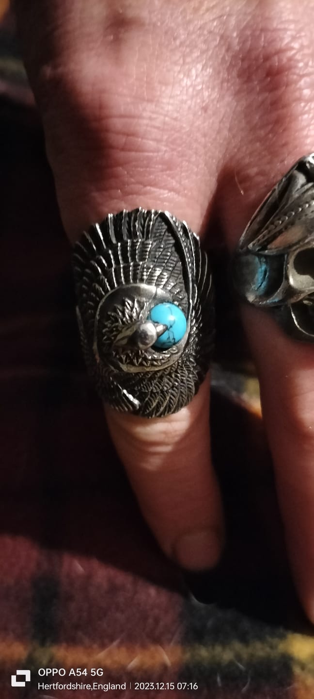 Customer photo review of PROTECT WINGS.