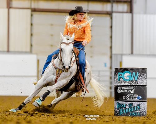 Customer photo review of OptiWize Collagen +Plus Horse Joint Supplement