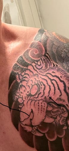 Customer photo review of HUSTLE BUTTER DELUXE LUXURY TATTOO CARE - 30G 5OZ