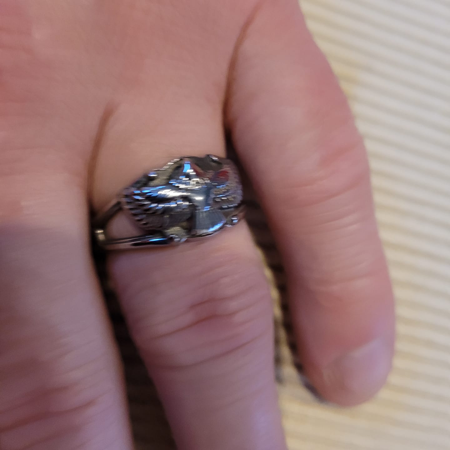 Customer photo review of Free As Bird.