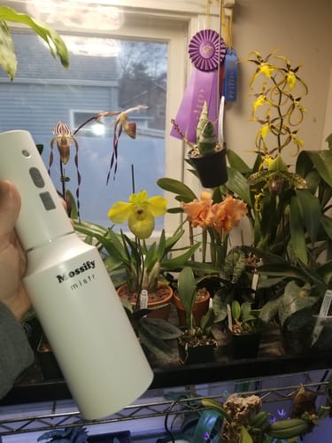 Customer photo of The Original Mossify mistr™ from Brian S.