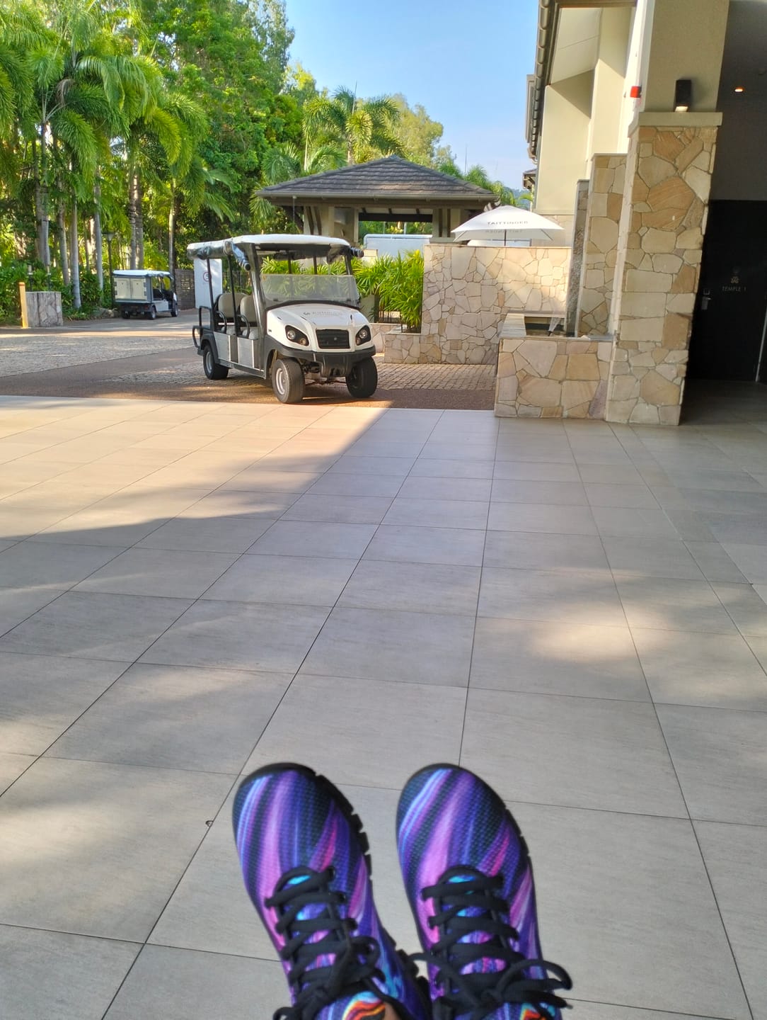 Customer photo review of Art Painted Handcrafted Sneakers