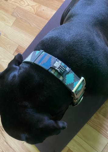 Customer photo review of Premium Silent QR Tag