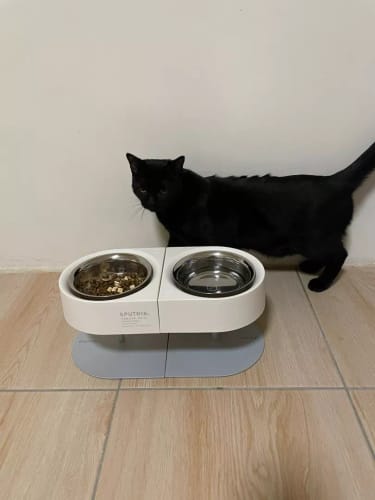 Customer photo review of SPUTNIK 斯普尼克 NON-ANTS Bowl 增高防蟻碗架組雙碗